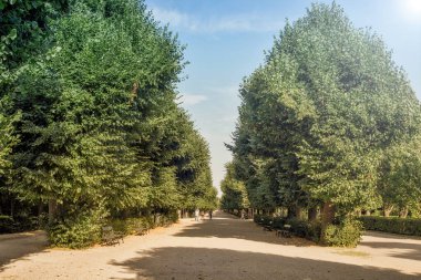 Schonbrunn Sarayı Bahçe