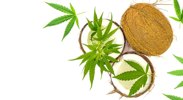 Vue du dessus de noix de coco fissurée avec des feuilles de cannabis sur le dessus, isoler — Photo