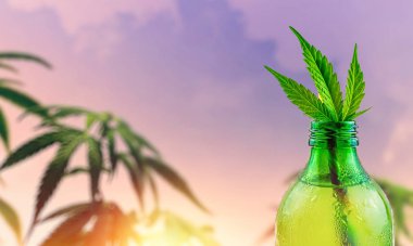 Yeşil cam şişe ve kenevir Cbd aşılanmış su limonatası.
