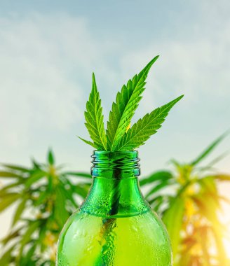 Yeşil cam şişe ve kenevir Cbd aşılanmış su limonatası.
