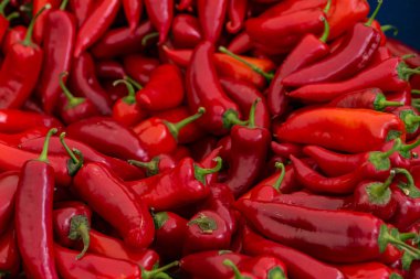 Satılık Kırmızı Pul Biber