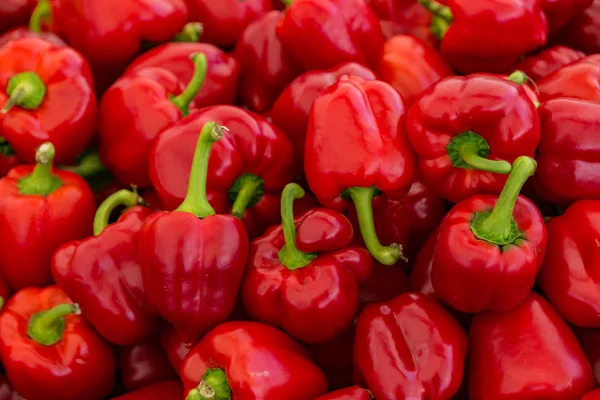 Satılık kırmızı biber