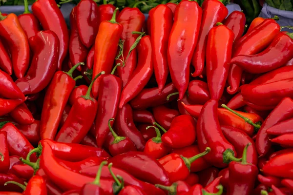 Satılık Kırmızı Pul Biber