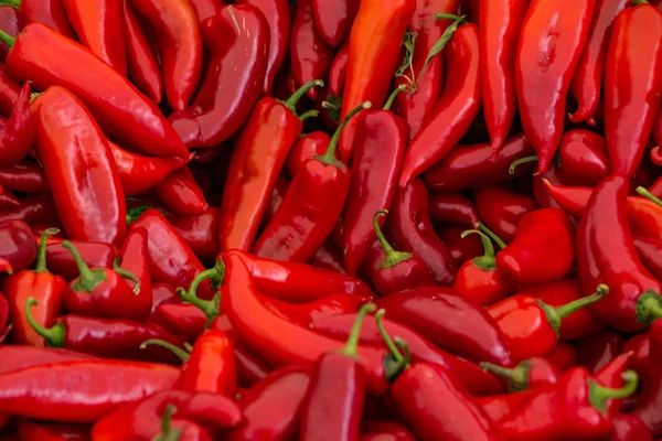 Satılık Kırmızı Pul Biber