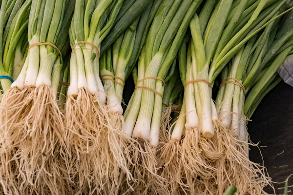 Scallions Satılık