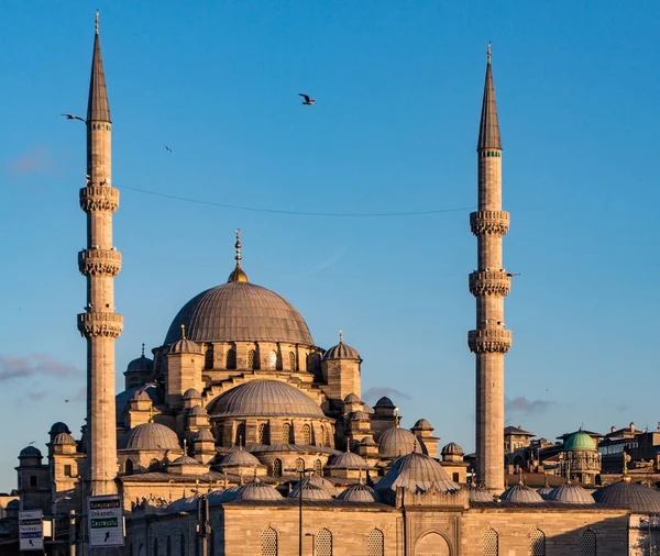 Instanbul yeni Camii