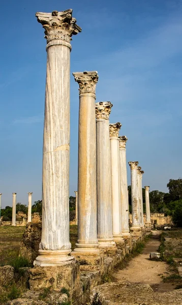 Famagusta içinde Salamis Harabeleri