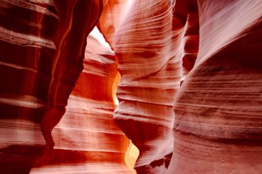 antilop Kanyonu yuvası 