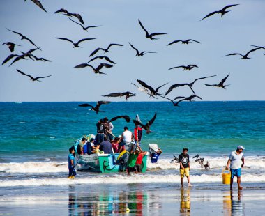 Balıkçılar depo gözleri balık seyir kuşlar tarafından kovalanan alıcılara taşımak 