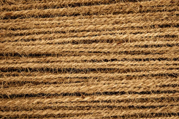 Textura de fundo da corda feita de fibras de casca de coco Imagens Royalty-Free