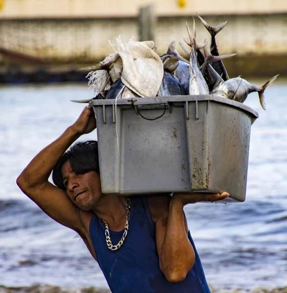 Puerto López, Ecuador - 19 de agosto de 2016: El hombre lleva un contenedor de peces por la playa desde el barco hasta los camiones procesadores de espera — Foto de Stock