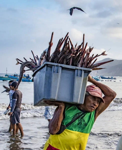 Puerto López, Ecuador - 19 de agosto de 2016: El hombre lleva un contenedor de peces por la playa desde el barco hasta los camiones procesadores de espera — Foto de Stock