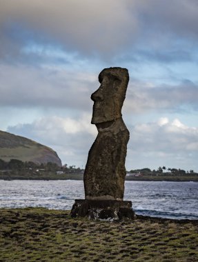 Rano Raraku taş ocağındaki Paskalya Adası 'ndaki Moai Heykelleri