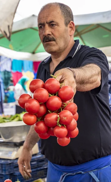 Стамбул, Турция - 31 мая 2016 - Поставщик держит кучу помидоров — стоковое фото