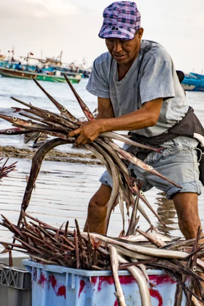 Puerto López - 19 de agosto de 2016 - Pescador clasifica su captura de peces de tubería en cestas — Foto de Stock