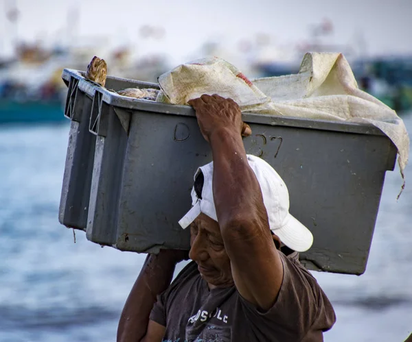 Puerto Lopez, Ecuador - 19. August 2016: Mann trägt Fischbehälter vom Boot den Strand hinauf zu den wartenden Verarbeitungsfahrzeugen — Stockfoto