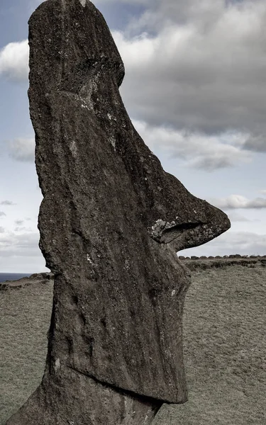 Statue Moai sull'Isola di Pasqua presso la Cava di Rano Raraku — Foto Stock