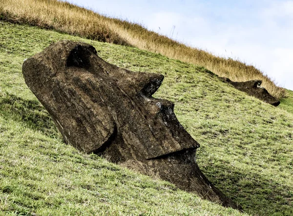 Moai posągi na Wyspie Wielkanocnej w kamieniołomie Rano Raraku — Zdjęcie stockowe