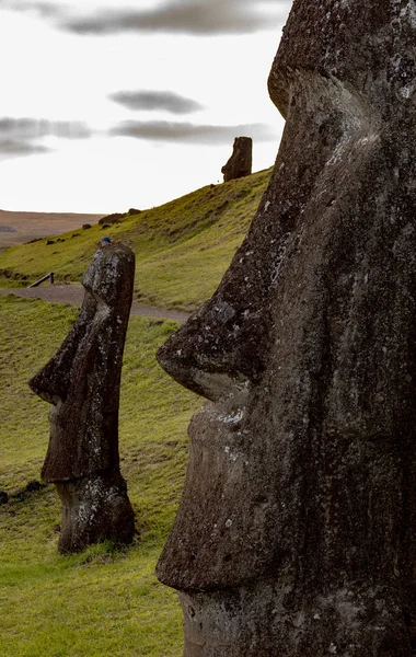 Rano Raraku taş ocağındaki Paskalya Adası 'ndaki Moai Heykelleri — Stok fotoğraf