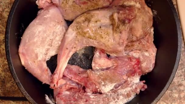 Кролик обертається в чавунній сковороді для смаження накладним видом — стокове відео