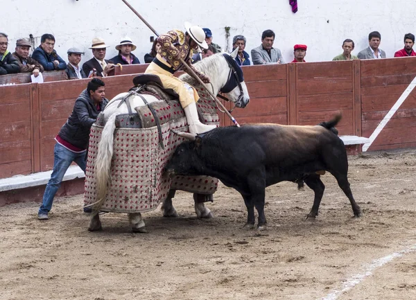 Ambato, Ecuador - 15. Februar 2015 - Stier attackiert Pferd während Stierkampf — Stockfoto