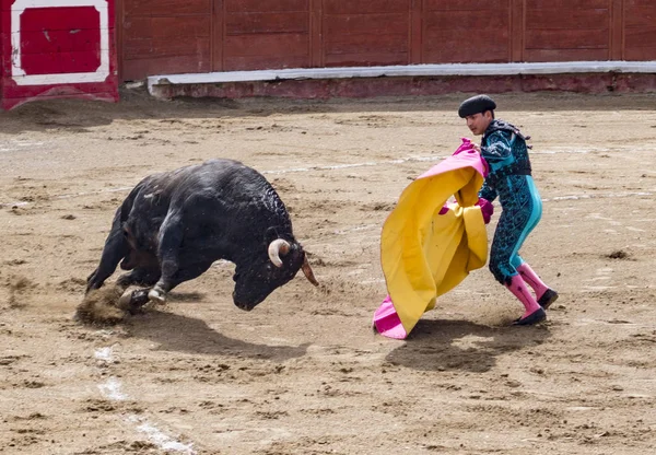 Stierkämpfer im Ring mit Stier — Stockfoto