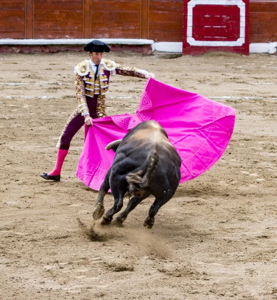 Bullfighter in ring with bull — Stock Photo, Image