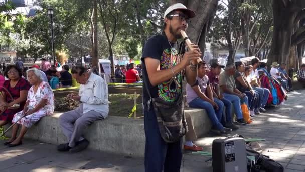 Oaxaca, Mexiko - 2019-11-24 - Pouliční performer hraje na flétnu - se zvukem — Stock video