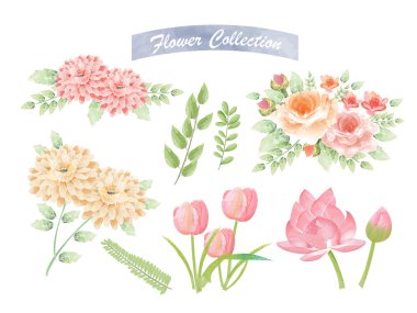 Suluboya çiçek öğeleri