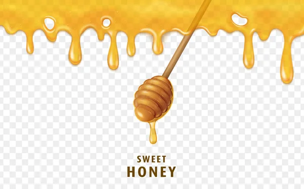 Honey dripping from top — Stock Vector