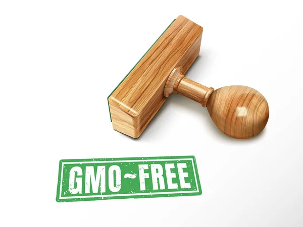 GMO-mentes szöveg és bélyegző — Stock Vector