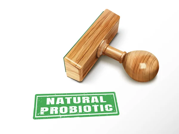 Természetes probiotikus szöveg és bélyegző — Stock Vector