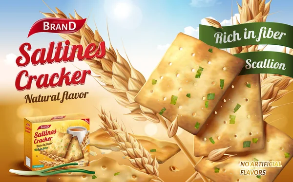 Saltines cracker reklamy — Wektor stockowy