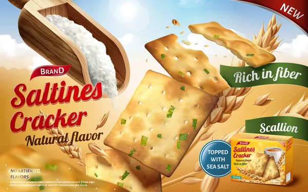 Crackers cracker advertenties — Stockvector