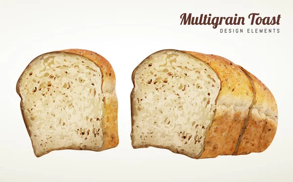 Multi-grain toast design elements — Stock Vector