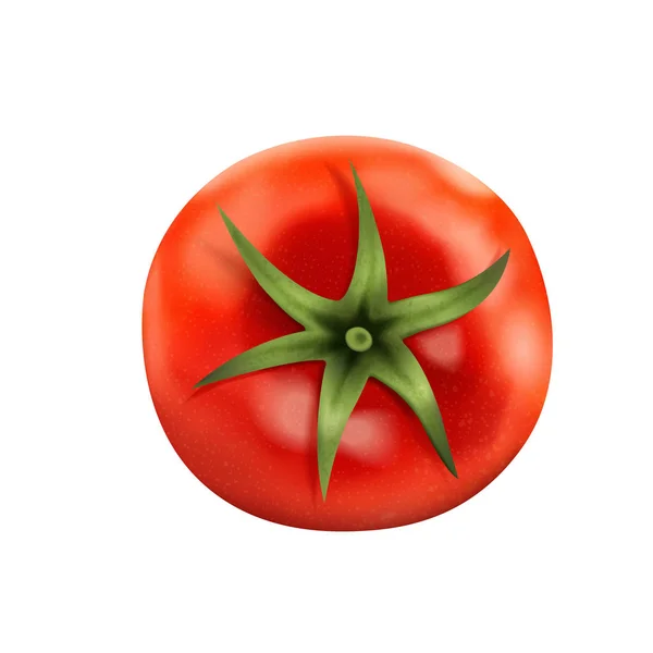 Vista superior del tomate fresco — Vector de stock