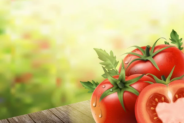 Frisse tomaten-elementen — Stockvector