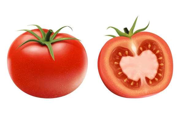 Elemen tomat segar - Stok Vektor