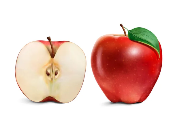 Meia maçã suculenta e inteira — Vetor de Stock
