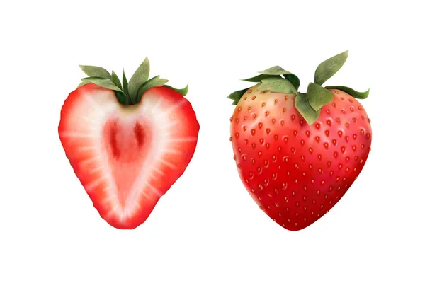 Fraises entières et demi-fraises — Image vectorielle