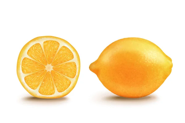 Citron jaune moitié et entier — Image vectorielle