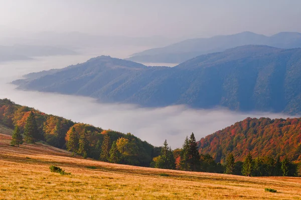 Otoño paisaje de montaña al amanecer con niebla marina en el valle . —  Fotos de Stock