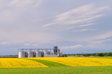 Çiçek açan kanola ve buğday t bir alanla çeşitli tahıl ambarları
