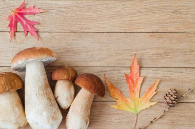 Mantar (Boletus mantarı) ahşap bir masa üzerinde beyaz. Sonbahar conce