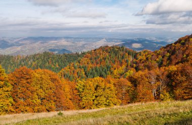 Sarı-turuncu renk sonbahar ormanın içinde belgili tanımlık geçmiş uzak dağ. Sonbahar dağ landscap