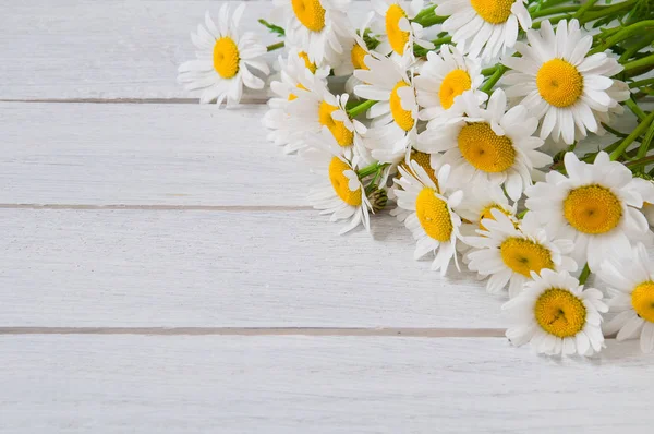 Fleurs Camomille Sur Une Table Bois Blanc — Photo