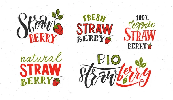 Typographie lettrage fraise — Image vectorielle
