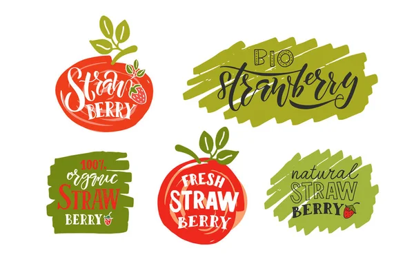 Strawberry lettering typography — Stock Vector