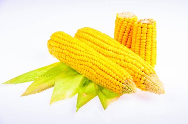 Beyaz arka planda olgun mısır.