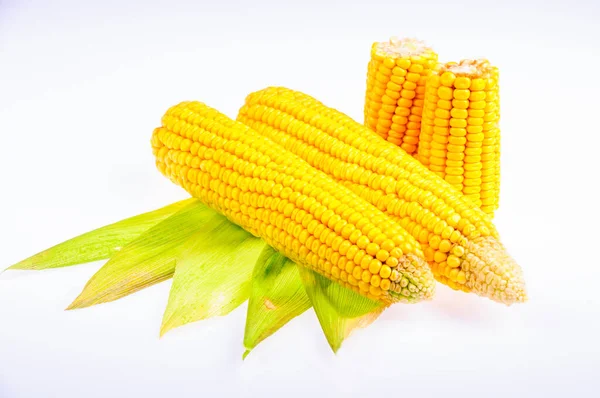 Ripe Corn Cob White Background — Stock Photo, Image